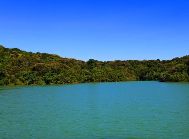 Ilha de Itamaraca 'daki yeşil göl, Pernambuco, Brezilya