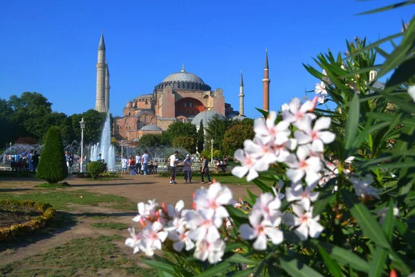 Hagia Sophia Istanbul Türkei — Stockfoto