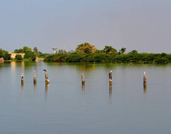 Calm Surface Water Joal Fadiouth Senegal — Stock Photo, Image