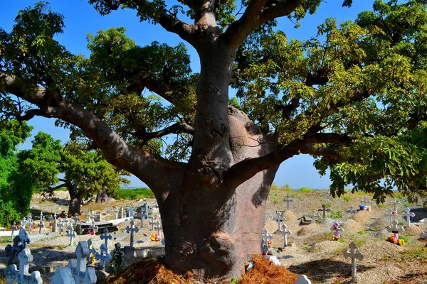 Muselman Kristna Kyrkogård Joal Fadiouth Senegal — Stockfoto