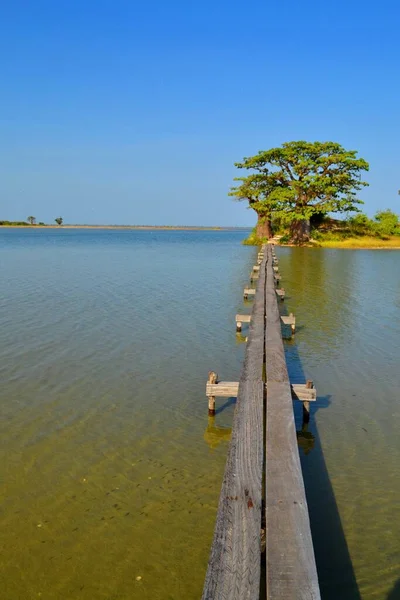 Les Collines Niassam Sine Saloum Delta Senegal — Stock Photo, Image