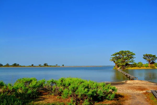 Les Collines Niassam Delta Del Sine Saloum Senegal — Foto de Stock