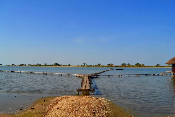 Les Collines Niassam Delta Del Sine Saloum Senegal — Foto Stock