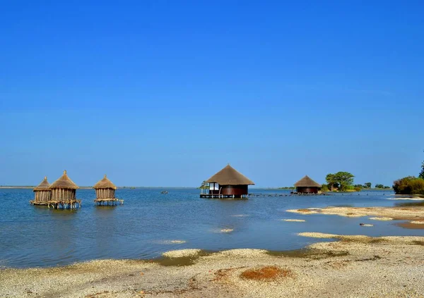 Krásné Relaxační Bungalovy Samotě Les Collines Niassam Senegal — Stock fotografie