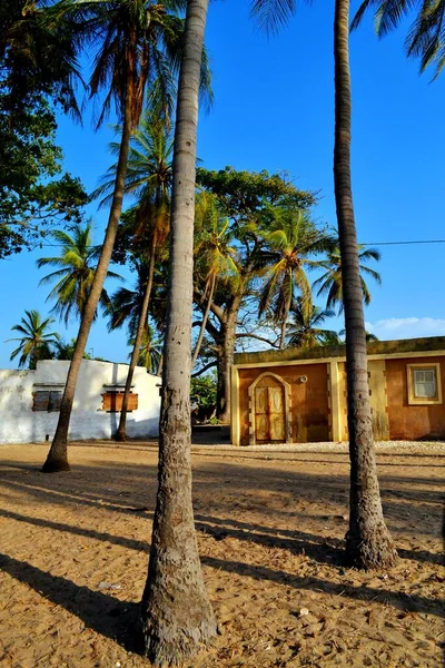 Venkovská Vesnice Palmarin Sine Saloum Delta Senegal — Stock fotografie