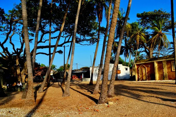 Landsbygdsbyn Palmarin Sine Saloum Delta Senegal — Stockfoto