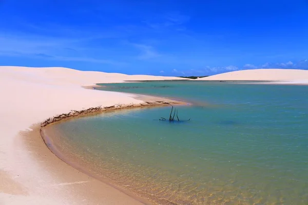 Lencois Maranhenses, Maranhao, Brezilya milli parkındaki turkuaz göller ve beyaz kum tepelerinin güzel manzarası