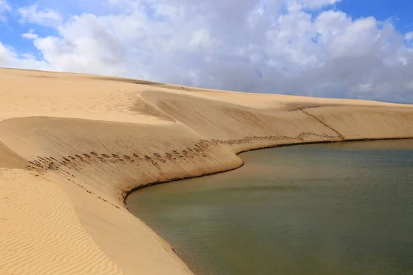 Gyönyörű Táj Türkiz Lagúnák Fehér Homokdűnék Lencois Maranhenses Nemzeti Parkban — Stock Fotó