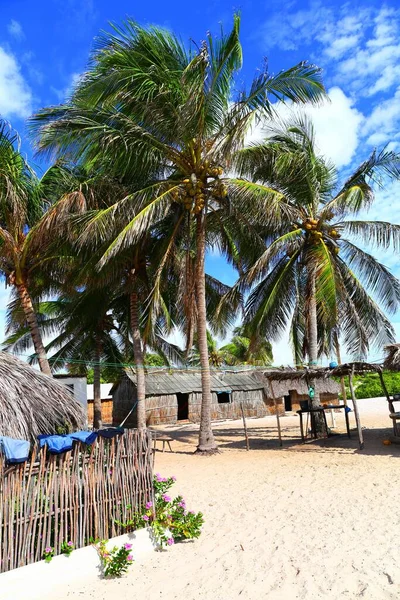 Baixa Grande Relaxační Oáza Národním Parku Lencois Maranhenses Maranhao Brazílie — Stock fotografie