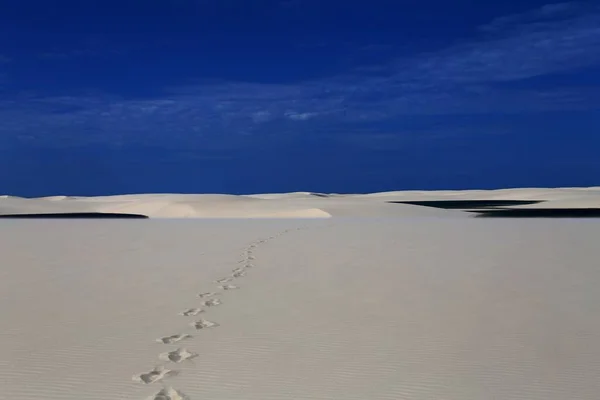 Gyönyörű Táj Türkiz Lagúnák Fehér Homokdűnék Lencois Maranhenses Nemzeti Parkban — Stock Fotó