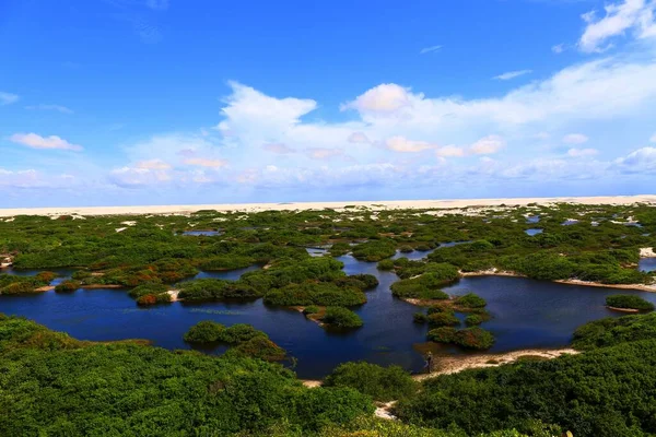 Baixa Grande Lencois Maranhenses Maranhao Brezilya Ulusal Parkında Rahatlatıcı Vaha — Stok fotoğraf