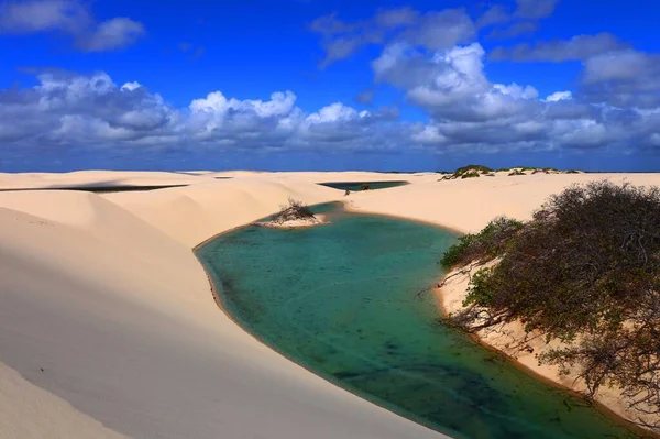 Santo Amaro Lencois Maranhenses Ulusal Parkı Maranhao Brezilya Güzel Turkuaz — Stok fotoğraf