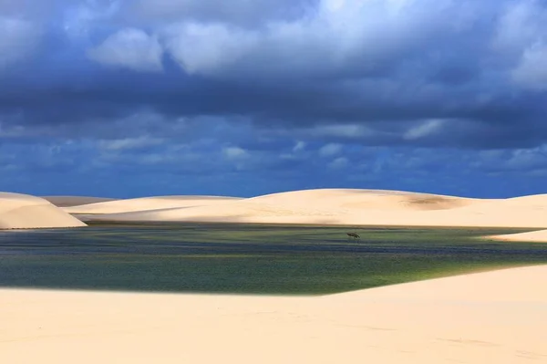 Όμορφη Τυρκουάζ Λιμνοθάλασσα Και Λευκή Αμμόλοφος Στο Santo Amaro Lencois — Φωτογραφία Αρχείου