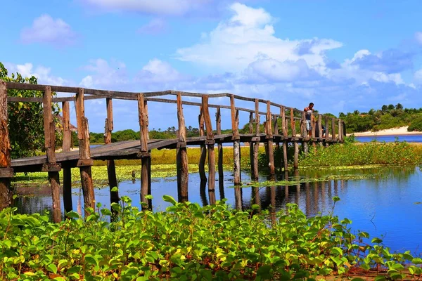 Wiejski Drewniany Most Nad Rzeką Santo Amaro Maranhao Brazylia — Zdjęcie stockowe