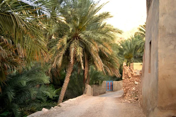 Canyons Wadi Tiwi Oman — Stockfoto