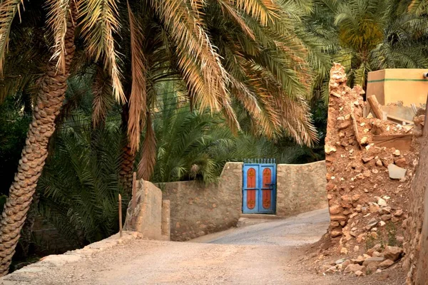 Dramatyczne Kaniony Wadi Tiwi Oman — Zdjęcie stockowe