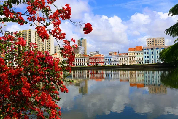Eski Recife, Pernambuco, Brezilya 'da güzel renkli evler