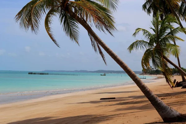 Beautiful Coastal Town Maragogi Pernambuco Brazil — Stock Photo, Image