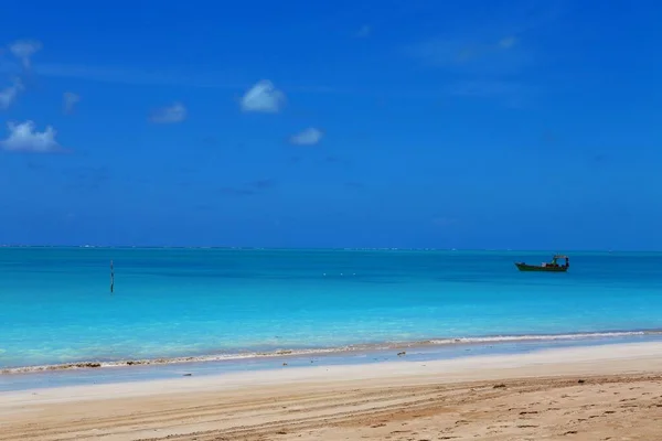 Vacker Strand Maragogi Pernambuco Brasilien — Stockfoto