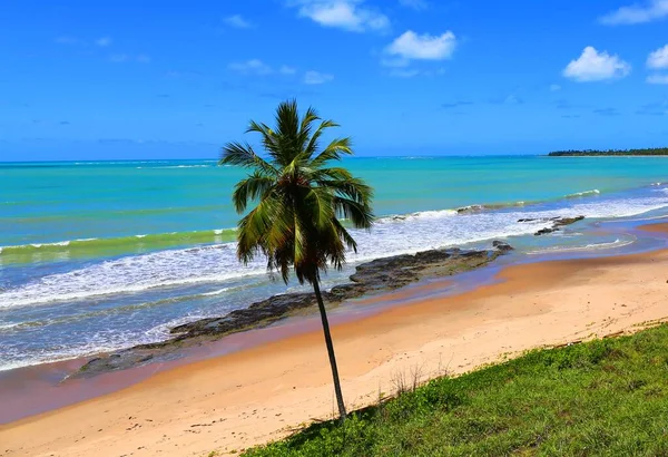 Krásná Pobřežní Vesnice Japaratinga Alagoas Brazílie — Stock fotografie