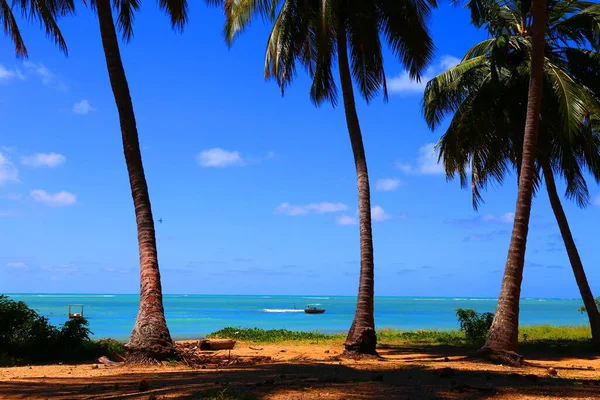 Krásná Pobřežní Vesnice Japaratinga Alagoas Brazílie — Stock fotografie