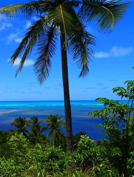 Schönes Küstendorf Japaratinga Alagoas Brasilien — Stockfoto