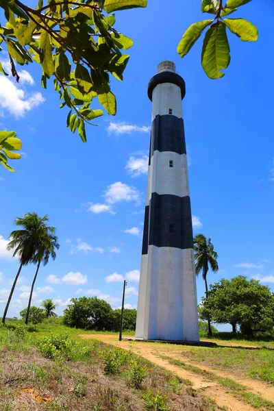 White Black Lighthouse Porto Pedras Alagoas Brazil — Stock Photo, Image