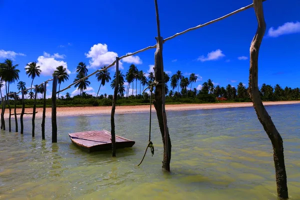 Malá Venkovská Rybářská Vesnice Sao Miguel Dos Milagres Státě Alagoas — Stock fotografie