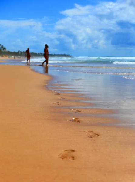 Passaggi Sulla Spiaggia Sabbia Porto Galinhas Pernambuco Brasile — Foto Stock