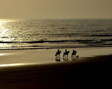 Gün batımında sahilde ata binmek, Essaouira, Fas