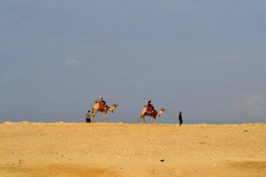 Çölde iki deve ve insan var.