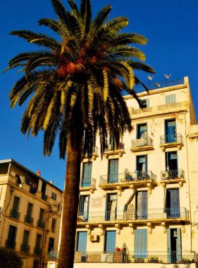 Afrika 'daki güzel Akdeniz şehri Cezayir