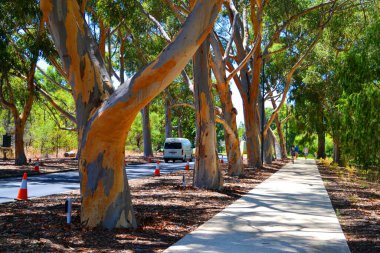 Perth, Avustralya 'daki kentsel botanik bahçesi