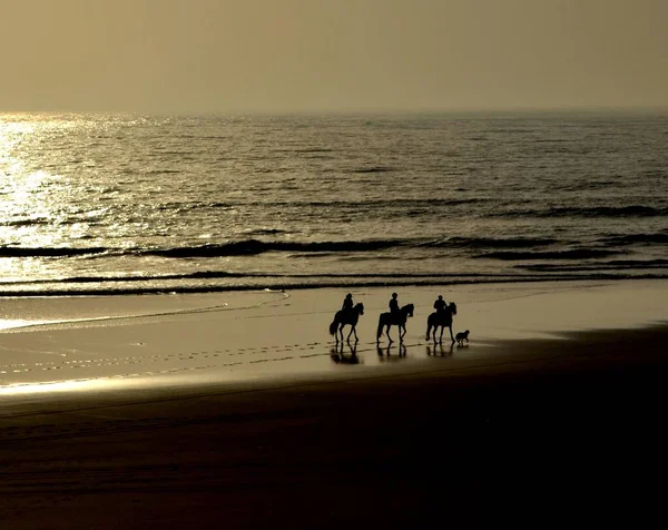 Катание Лошадях Пляжу Закате Сувейра Марокко — стоковое фото