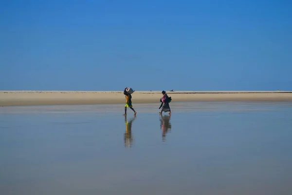 Poranna Scena Plaży Morondava Madagaskar — Zdjęcie stockowe