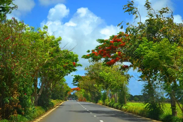 Tropikalna Wyspa Mauritius — Zdjęcie stockowe