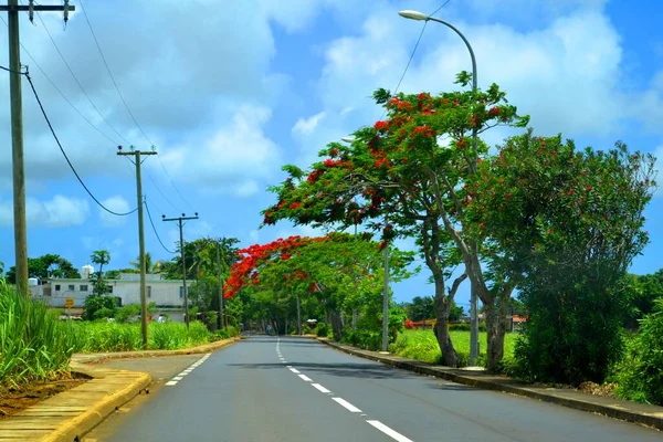 Straße Auf Der Insel Mauritius — Stockfoto