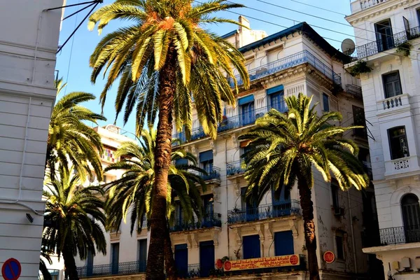 Schöne Mittelmeerstadt Algier Afrika — Stockfoto