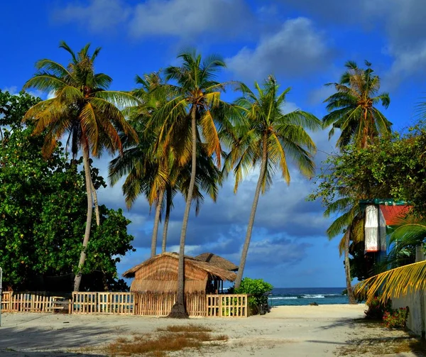 Krásné Exotické Ostrovy Malediv — Stock fotografie
