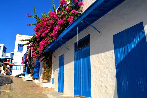 Slavná Bílá Modrá Architektura Sidi Bou Said Tunisko — Stock fotografie