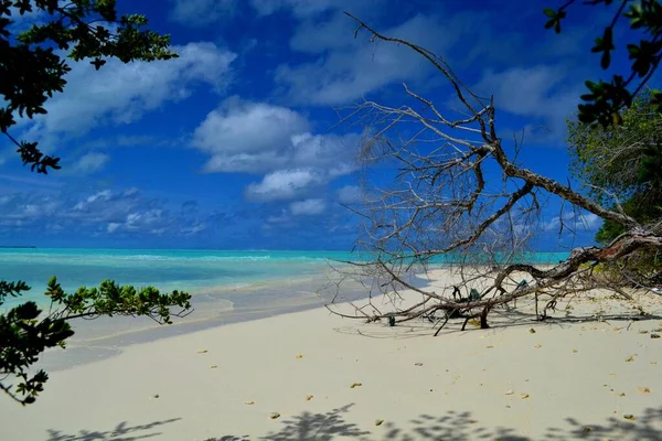 Güzel Egzotik Maldivler Adaları — Stok fotoğraf