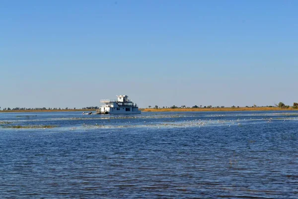 River Cruise Zambezi River Botswana Africa — Stock Photo, Image