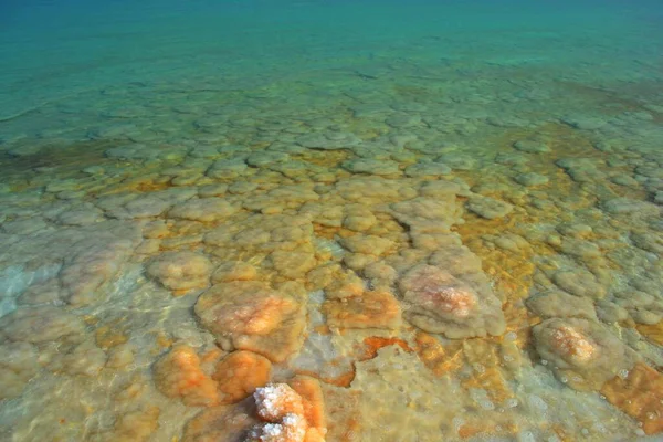 Εντυπωσιακοί Γεωλογικοί Σχηματισμοί Στη Νεκρά Θάλασσα — Φωτογραφία Αρχείου