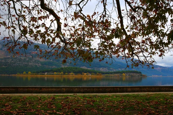 Lago Tranquilo Ciudad Ioannina Epiro Grecia — Foto de Stock