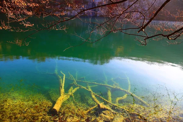 Природа Бофюля Национальном Парке Плитвицкие Озера Хорватии — стоковое фото
