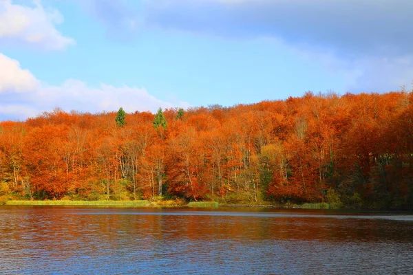 Schöne Natur Nationalpark Plitvicer Seen Kroatien — Stockfoto