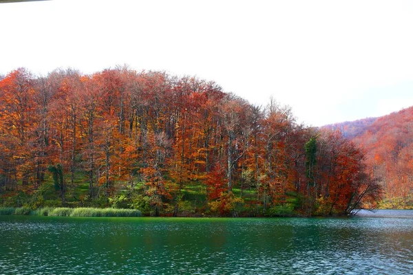 Naturaleza Beautfiul Parque Nacional Los Lagos Plitvice Croacia — Foto de Stock