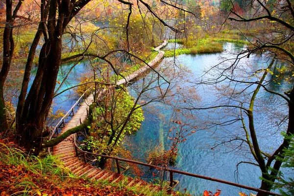 Piękna Przyroda Parku Narodowym Jeziora Plitwickie Chorwacji — Zdjęcie stockowe