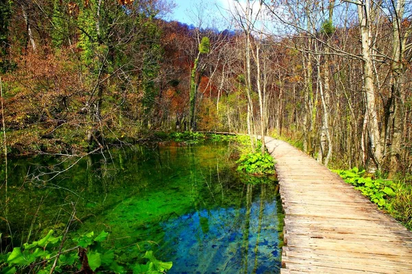 Φύση Beautfiul Στο Εθνικό Πάρκο Plitvice Lakes Στην Κροατία — Φωτογραφία Αρχείου