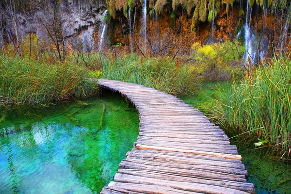 Природа Бофюля Национальном Парке Плитвицкие Озера Хорватии — стоковое фото